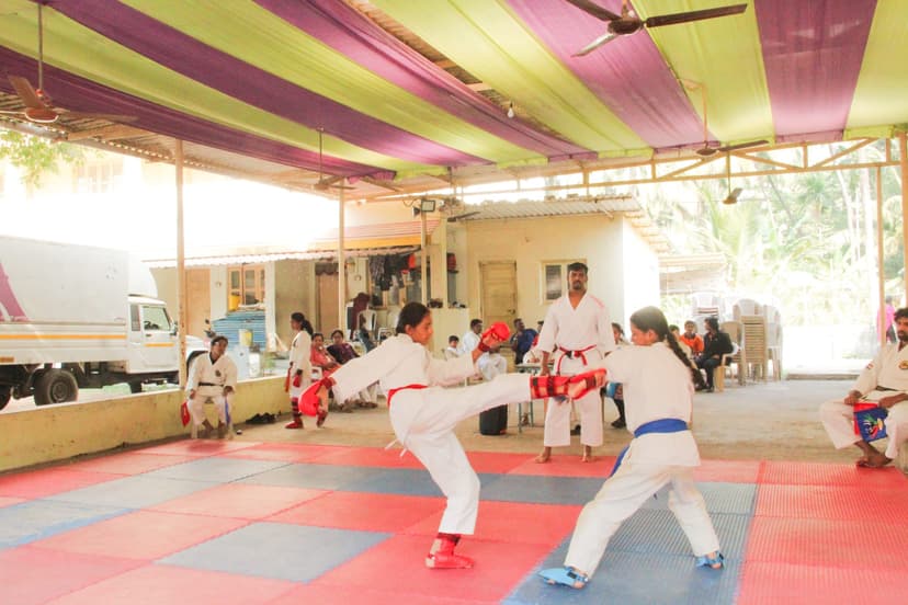 Sparring session